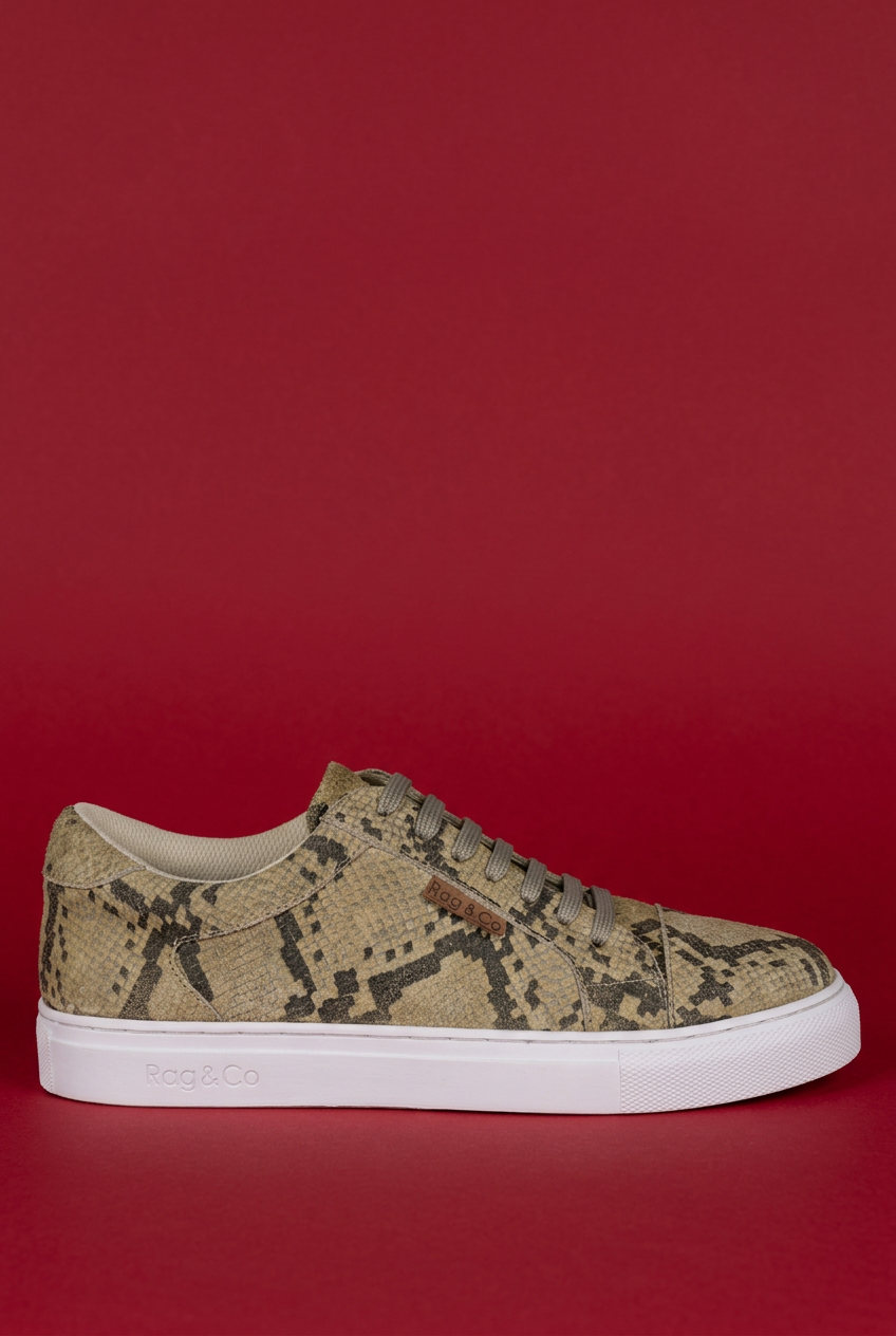 Snakeskin print Ashford sneaker on red background